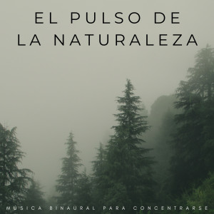Album El Pulso De La Naturaleza: Música Binaural Para Concentrarse oleh Delta Ondas Puras