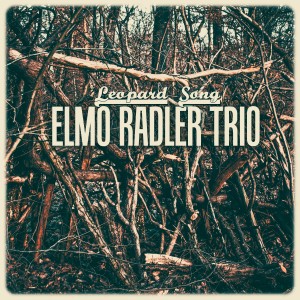 Elmo Radler Trio的專輯Leopard Song