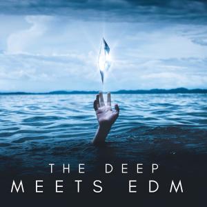 Various的专辑The Deep Meets EDM