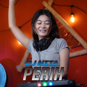Dengarkan lagu Perih nyanyian DJ Nita dengan lirik