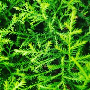 收听Relaxing Music的Sounds for Better Sleep歌词歌曲