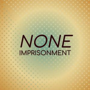 收听Jams Siel的None Imprisonment歌词歌曲
