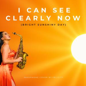 收聽Felicity Saxophonist的I Can See Clearly Now歌詞歌曲