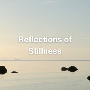 อัลบัม Reflections of Stillness ศิลปิน 432 Hz Destroy Unconscious Blockages