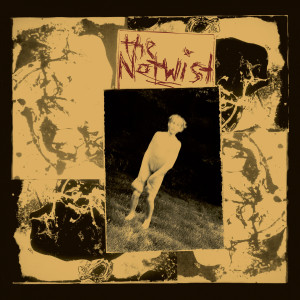 The Notwist的專輯The Notwist (30 Year Anniversary Remaster 2021)