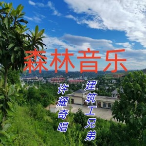 Listen to 建筑工兄弟 (完整版) song with lyrics from 孙树森