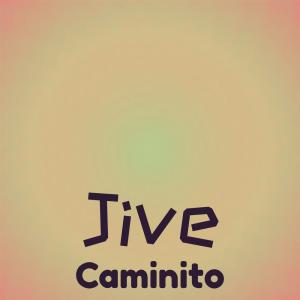 Various Artists的專輯Jive Caminito