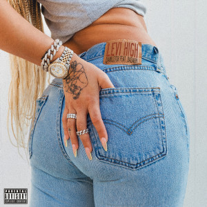 收聽DaniLeigh的Levi High (Explicit)歌詞歌曲