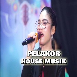收听Alvi Ananta的Pelakor House Musik歌词歌曲