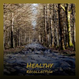 Dengarkan lagu Healthy Recollection nyanyian Chago Rayal dengan lirik