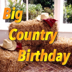 ดาวน์โหลดและฟังเพลง A Cowboy Needs a Horse พร้อมเนื้อเพลงจาก Roy Rogers