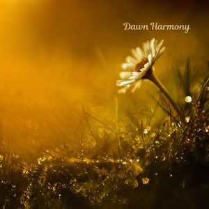 The Harmony的專輯Dawn Harmony