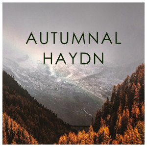 ดาวน์โหลดและฟังเพลง Haydn: Stabat Mater (Hob. XXbis)- 1767 - 11. Flammis orci ne succendar พร้อมเนื้อเพลงจาก Cornelius Hauptmann