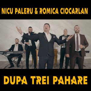 Listen to Dupa Trei Pahare song with lyrics from Nicu Paleru