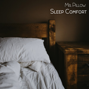 Listen to Sleep Comfort song with lyrics from Mr. Pillow