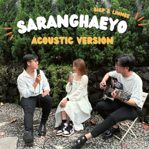 ดาวน์โหลดและฟังเพลง SARANGHAEYO (Acoustic Version) พร้อมเนื้อเพลงจาก BigP