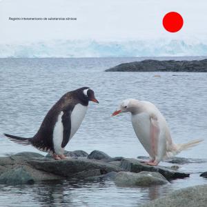 收聽Darla的Más lejos aún歌詞歌曲