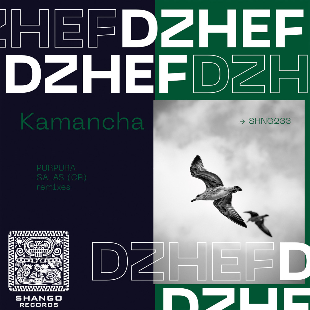 Kamancha (Salas|CR|remix)