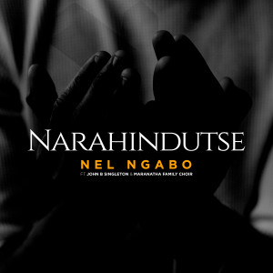 Nel Ngabo的专辑Narahinduste