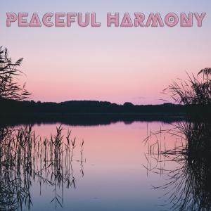 Peaceful Harmony