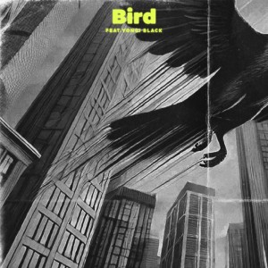 Album Bird (feat. Yongi Black) from 