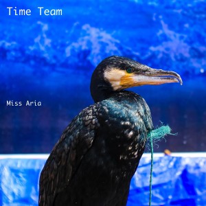 Album Time Team from Miss Aria