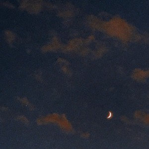 Listen to 늦가을 song with lyrics from Noovv