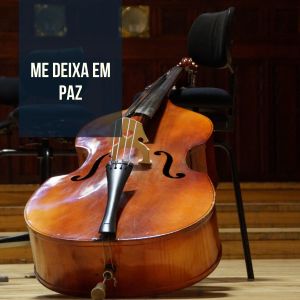 Album Me Deixa em Paz from Various