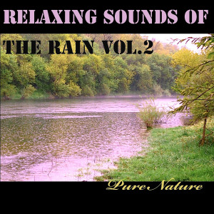Pure Nature的专辑Relaxing Sounds of the Rain, Vol. 2