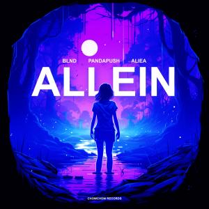 Album Allein from Blnd