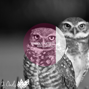 Listen to Redondo song with lyrics from Mario Restaino