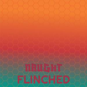 Album Naught Flinched from Various