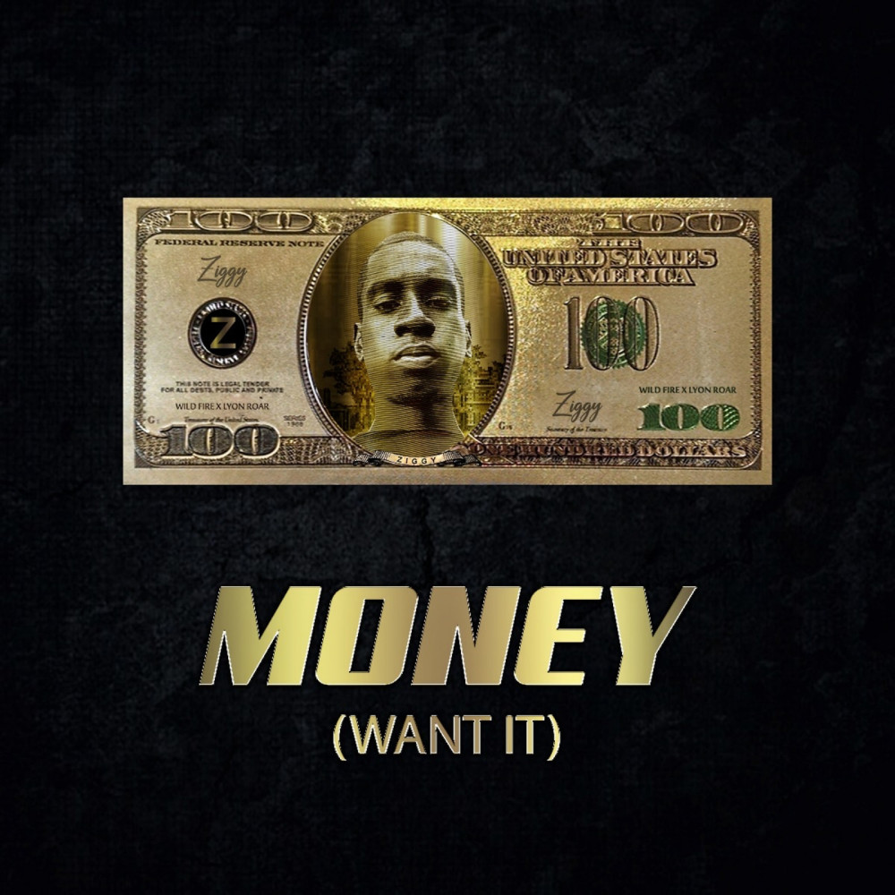 Money (Want It)