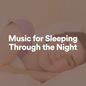 อัลบัม Music for Sleeping Through the Night ศิลปิน Smart Baby Lullaby