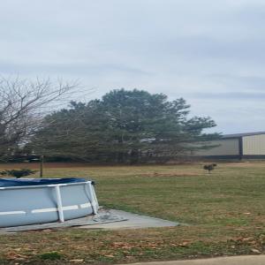 收聽noara的fistfight (Explicit)歌詞歌曲