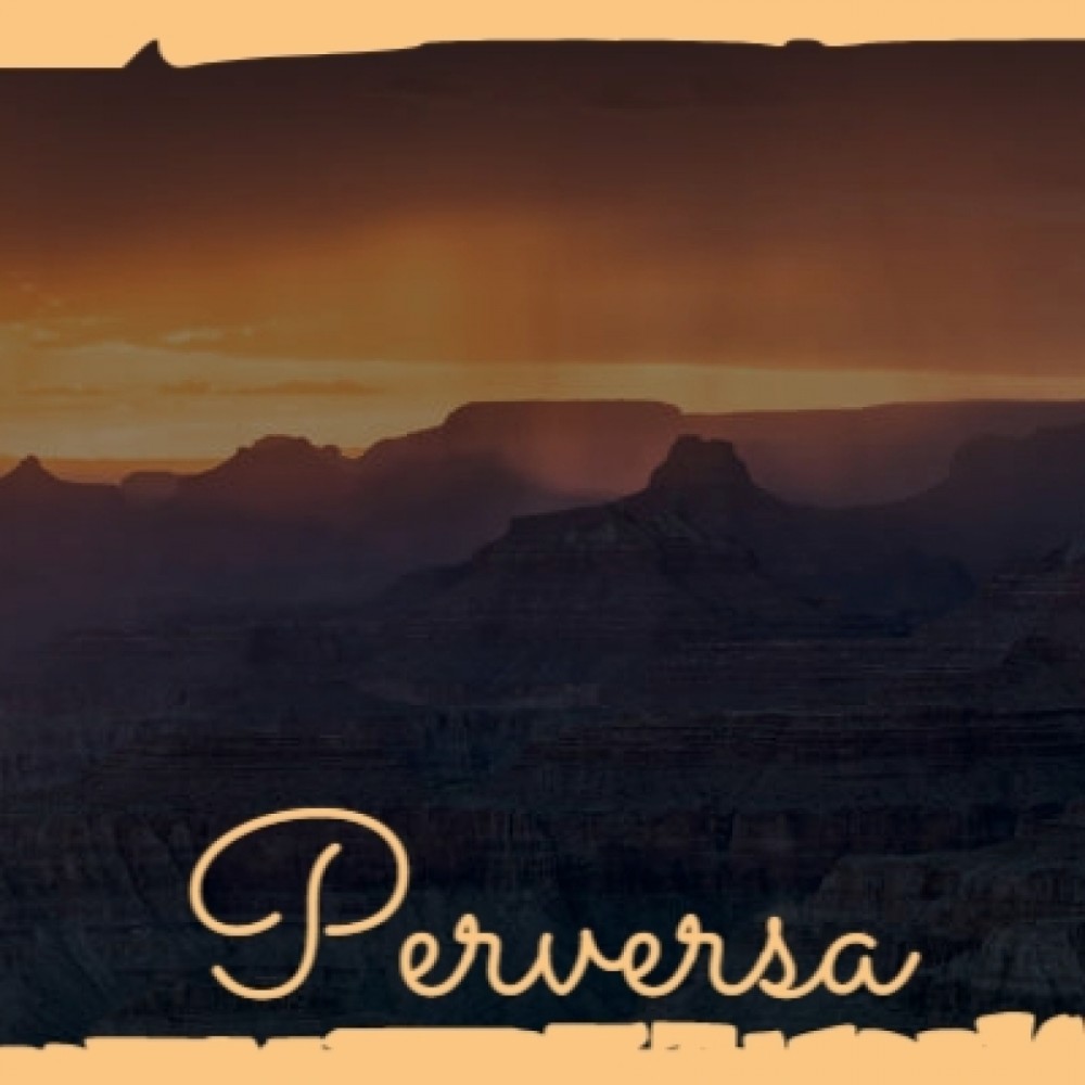 Tema De "A Summer Place"