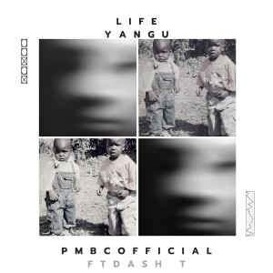Listen to Life Yangu song with lyrics from PMBCOFFICIAL