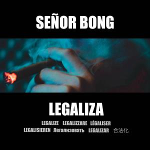 收聽Señor Bong的Legaliza歌詞歌曲