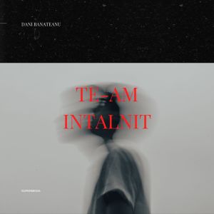 Album Te-am întâlnit from Dani Bănăteanu