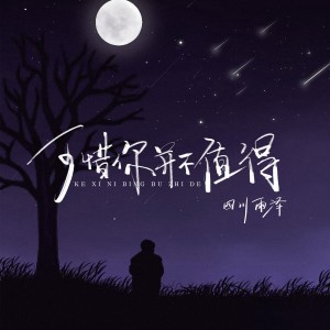 Listen to 可惜你并不值得 (伴奏) song with lyrics from 四川雨泽