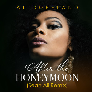 Dengarkan lagu After the Honeymoon (Sean Ali Remix|Soul Groove Edit) nyanyian Al Copeland dengan lirik