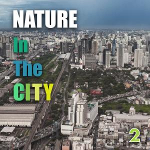 Ian Yu的專輯Nature in the City 2