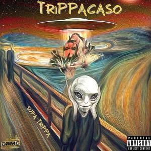 ดาวน์โหลดและฟังเพลง Street star (feat. Mike brown da czar & Jg Riff) (Explicit) พร้อมเนื้อเพลงจาก Supa Trippa