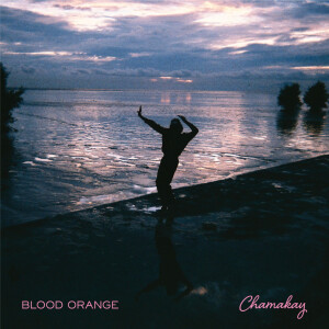 ดาวน์โหลดและฟังเพลง Chamakay พร้อมเนื้อเพลงจาก Blood Orange