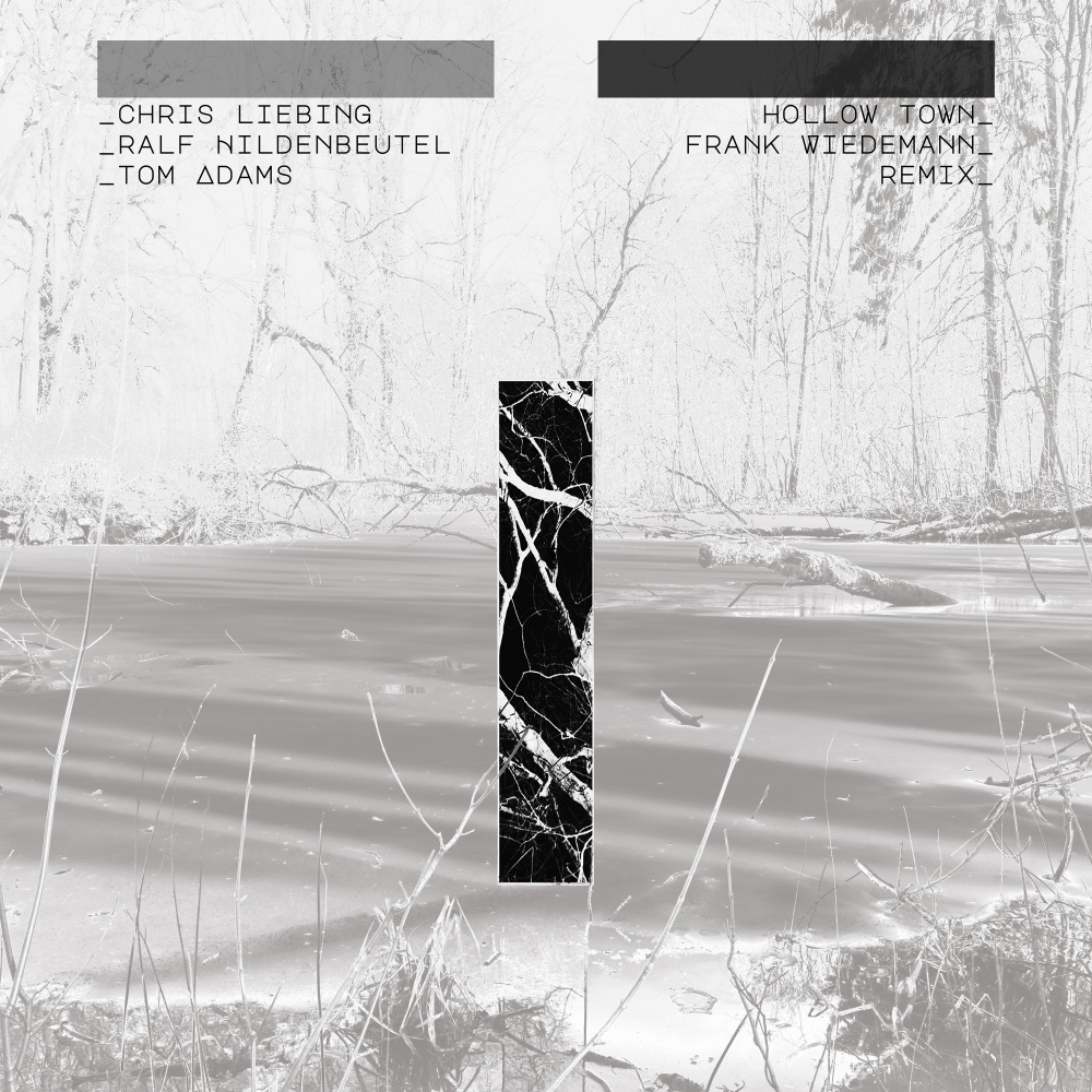 Hollow Town (Frank Wiedemann Remix)