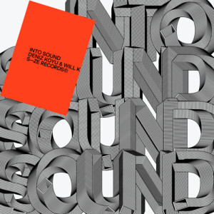 Deniz Koyu的专辑Into Sound