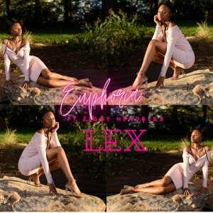 Listen to Euphoria (Explicit) song with lyrics from LEX