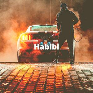 Dengarkan Habibi Slowed + Reverb (Explicit) lagu dari Cooper dengan lirik