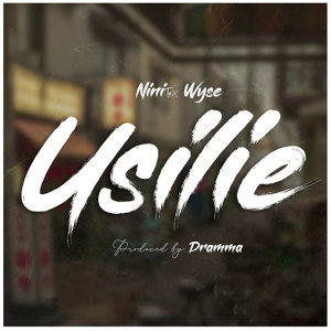 Album Usilie from Nini Tz