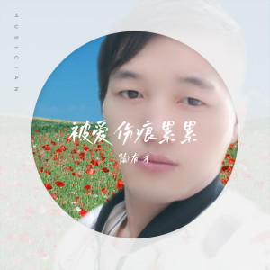 陶有才的专辑被爱伤痕累累